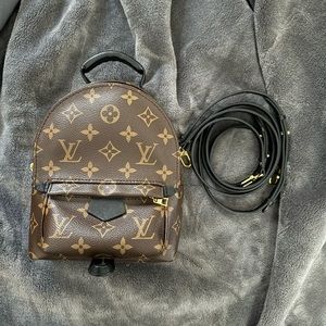 Louis Vuitton Palm Springs Mini